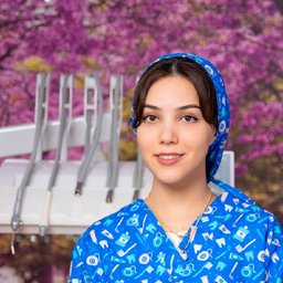 Niloofar Habibi Khameneh